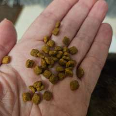 Фото отзыва 10534012