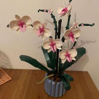 Конструктор LEGO Botanicals Orchid 608 дет.: отзыв пользователя Детский Мир