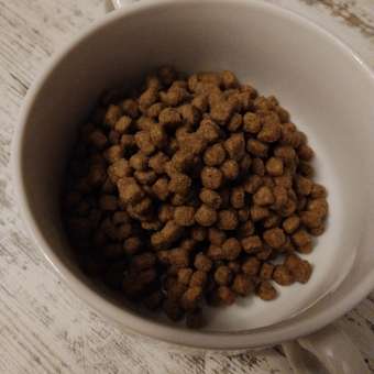 Корм для щенков ROYAL CANIN Puppy миниатюрных пород 3кг: отзыв пользователя. Зоомагазин Зоозавр