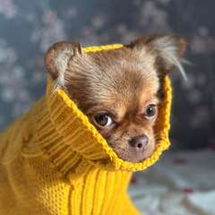 Фото отзыва 10510714