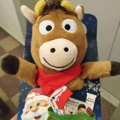 Фото отзыва 3196720