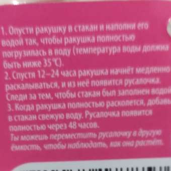 Набор для выращивания Attivio Яйцо растущее Ракушка в ассортименте: отзыв пользователя Детский Мир