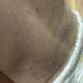 Футболка Futurino Fashion: отзыв пользователя Детский Мир