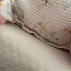 Фото отзыва 10946223