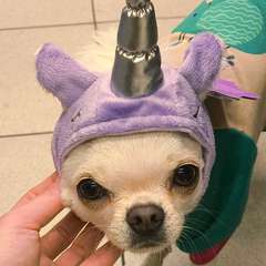 Фото отзыва 10651133