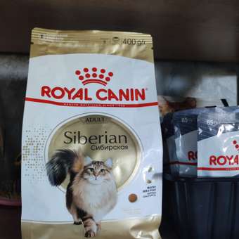 Корм сухой для кошек ROYAL CANIN Siberian 400г сибирских пород: отзыв пользователя. Зоомагазин Зоозавр