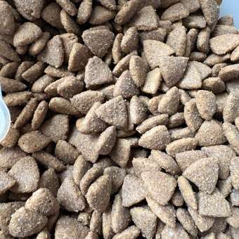 Корм сухой для собак PRO PLAN SENSITIVE DIGESTION 7 кг с ягненком для средних пород: отзыв пользователя. Зоомагазин Зоозавр