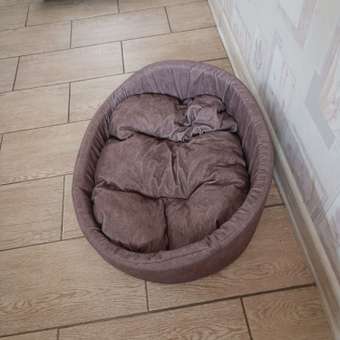 Лежанка для животных Homepet Leather Микровелюр диванчик 57*45*17см Мокка: отзыв пользователя. Зоомагазин Зоозавр