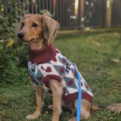 Фото отзыва 10821248