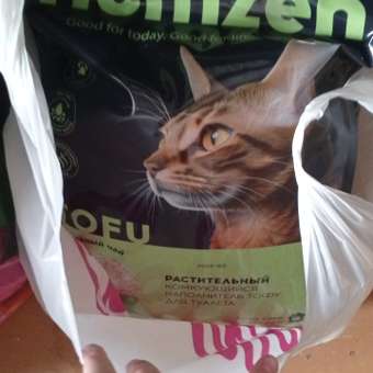 Наполнитель для кошачьего туалета Homzen Tofu Зеленый чай комкующийся 12л: отзыв пользователя. Зоомагазин Зоозавр