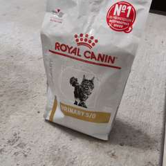 Фото отзыва 10825079