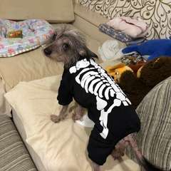 Фото отзыва 10939562