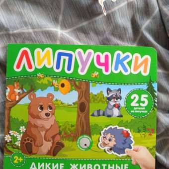 Книга с липучками Дикие животные: отзыв пользователя ДетМир