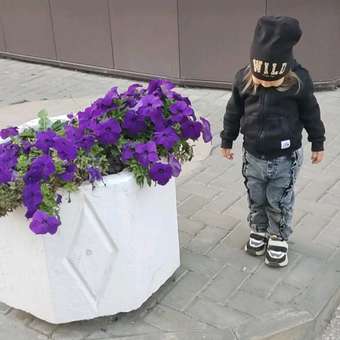 Утеплённые джинсы Baby Go Trend: отзыв пользователя ДетМир