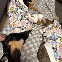 Фото отзыва 10564455