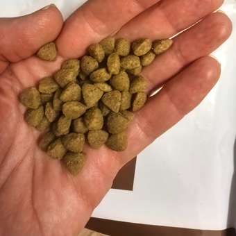 Корм для щенков ROYAL CANIN Gastro Intestinal Junior GIJ29 при нарушениях пищеварения 1кг: отзыв пользователя. Зоомагазин Зоозавр