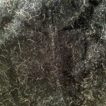 Брюки PlayToday: отзыв пользователя Детский Мир