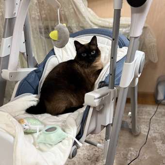 Стульчик для кормления Babyton Combi Blue: отзыв пользователя Детский Мир