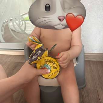Горшок Babyton Throne серый: отзыв пользователя Детский Мир