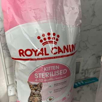 Корм сухой для котят ROYAL CANIN Sterilised 2кг стерилизованных: отзыв пользователя. Зоомагазин Зоозавр