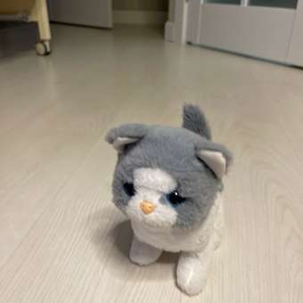 Игрушка мягкая Mioshi котик животные: отзыв пользователя Детский Мир