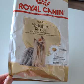 Корм для собак ROYAL CANIN породы йоркширский терьер 500г: отзыв пользователя. Зоомагазин Зоозавр
