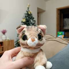 Фото отзыва 10943946