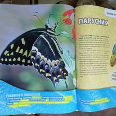 Фото отзыва 4666158