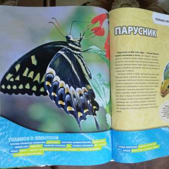 Книга ЭКСМО-ПРЕСС Большая энциклопедия насекомых: отзыв пользователя Детский Мир