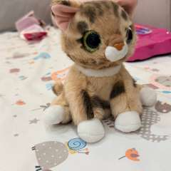 Фото отзыва 10874888