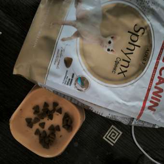 Корм сухой для кошек ROYAL CANIN Sphynx 2кг породы сфинк: отзыв пользователя. Зоомагазин Зоозавр
