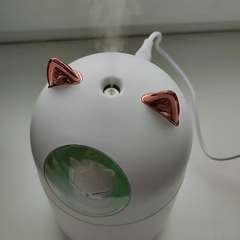 Видео отзыва 11132012