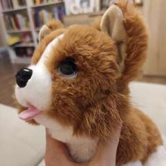 Фото отзыва 11011561