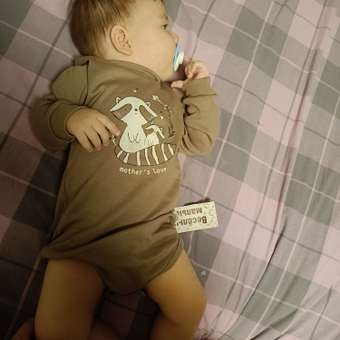 Боди-водолазка Веселый малыш: отзыв пользователя Детский Мир