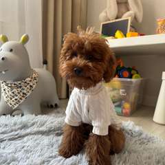 Фото отзыва 10146990