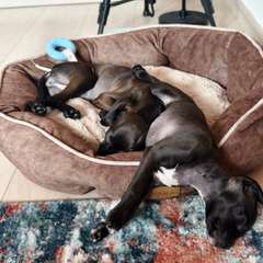 Фото отзыва 10537969