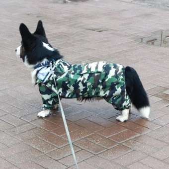 Дождевик-комбинезон Zoozavr хаки 50: отзыв пользователя. Зоомагазин Зоозавр