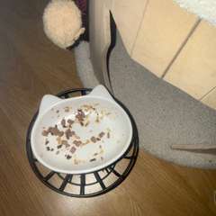 Фото отзыва 10969262