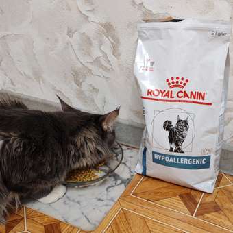 Корм для кошек ROYAL CANIN Hypoallergenic при пищевой аллергии 2кг: отзыв пользователя. Зоомагазин Зоозавр