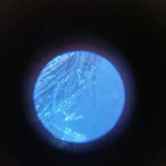 Фото отзыва 11162235