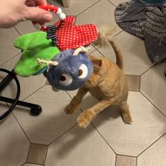 Фото отзыва 5143099