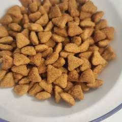 Фото отзыва 10955713