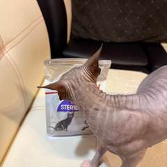 Фото отзыва 10514181