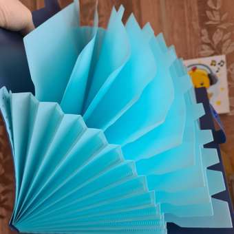 Папка-органайзер Brauberg А4: отзыв пользователя Детский Мир