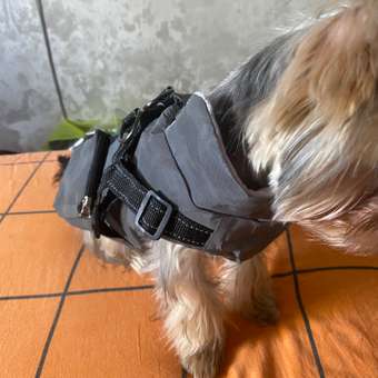 Жилет для собак и кошек Зоозавр: отзыв пользователя. Зоомагазин Зоозавр