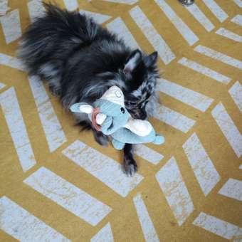 Игрушка для собак Barbaks Корова Инна мягкая пищит 24*17см: отзыв пользователя. Зоомагазин Зоозавр