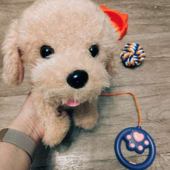 Мягкая игрушка TrendToys Собака: отзыв пользователя Детский Мир