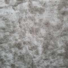 Фото отзыва 2209881