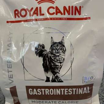 Корм для кошек ROYAL CANIN Gastrointestinal Moderate Calorie при расстройствах пищеварения 350г: отзыв пользователя. Зоомагазин Зоозавр