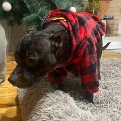 Фото отзыва 8292006